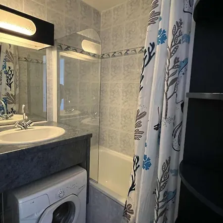 T2 Avec Parking Et Ascenseur A 100m De La - Animaux Acceptes, 34300 Cap D'agde - Fr-1-702-40 Apartment Agde
