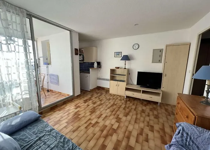 T2 Avec Parking, Vue Jardin Et Canal, Ascenseur, Lave-linge - Fr-1-702-40 阿格德