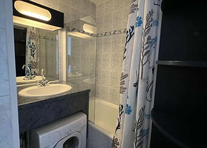 T2 Avec Parking, Vue Jardin Et Canal, Ascenseur, Lave-linge - Fr-1-702-40 公寓 阿格德